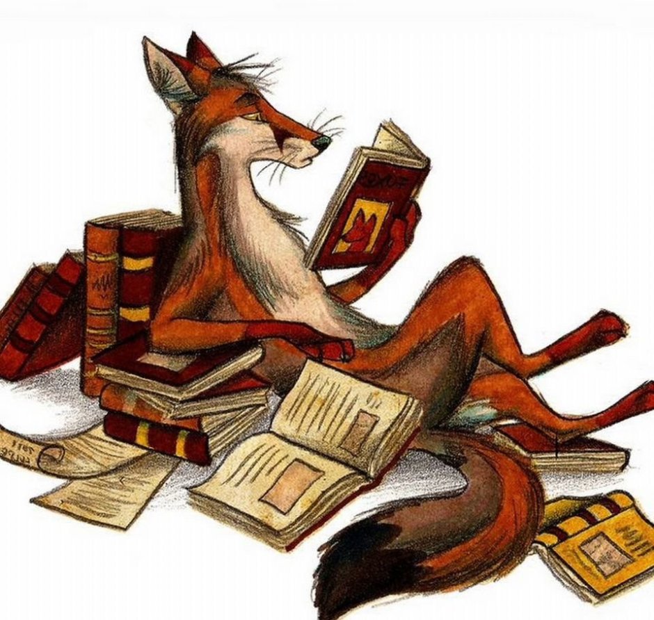 Книги про Лис