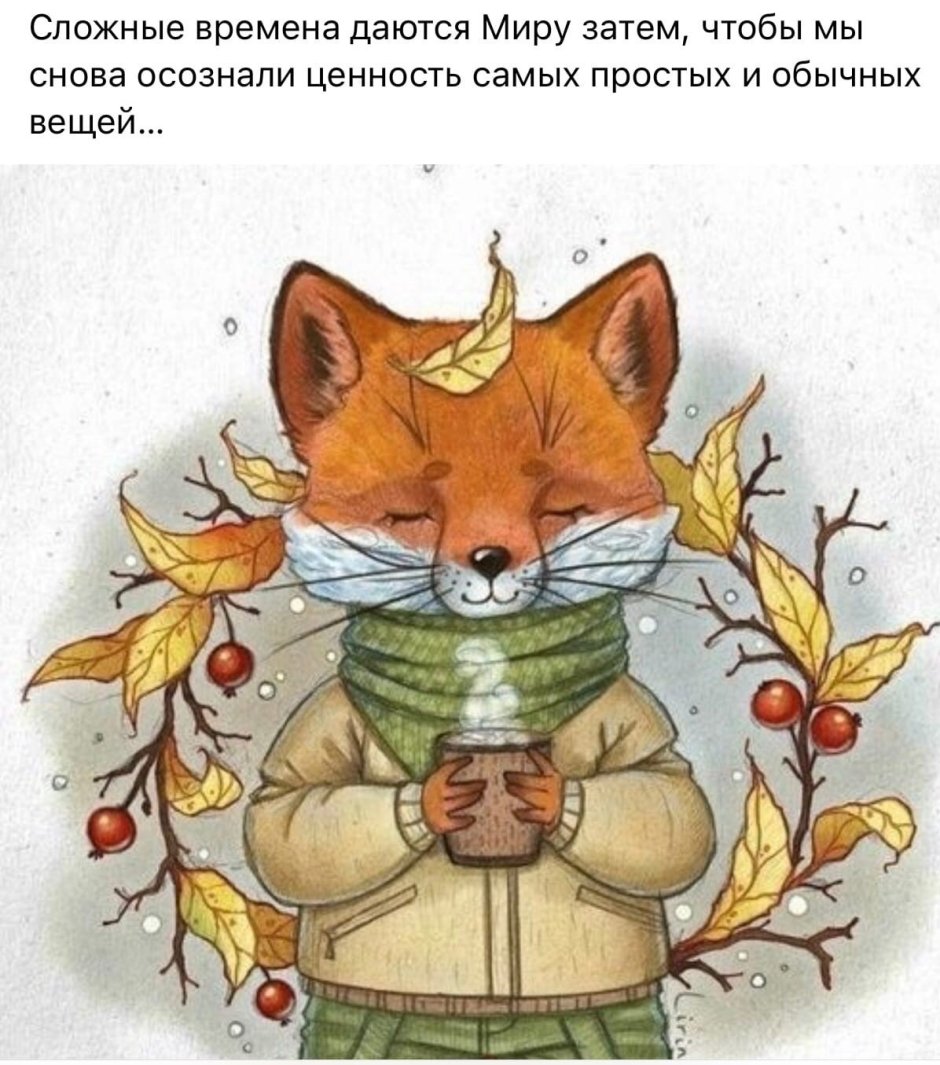 Лисенок с чаем