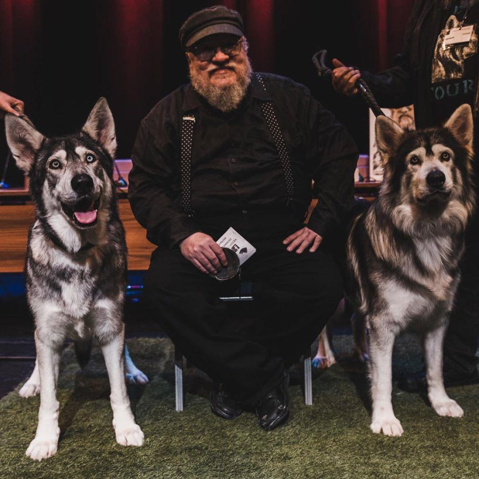 Череп Гулдана варкрафт 3