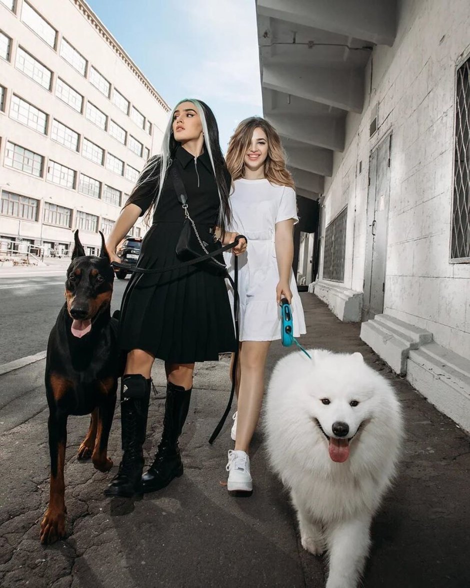 Черный терьер собака Сталина