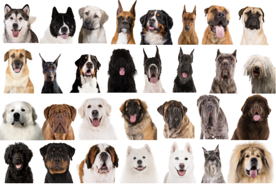 Зеленый огонь у чернокнижников