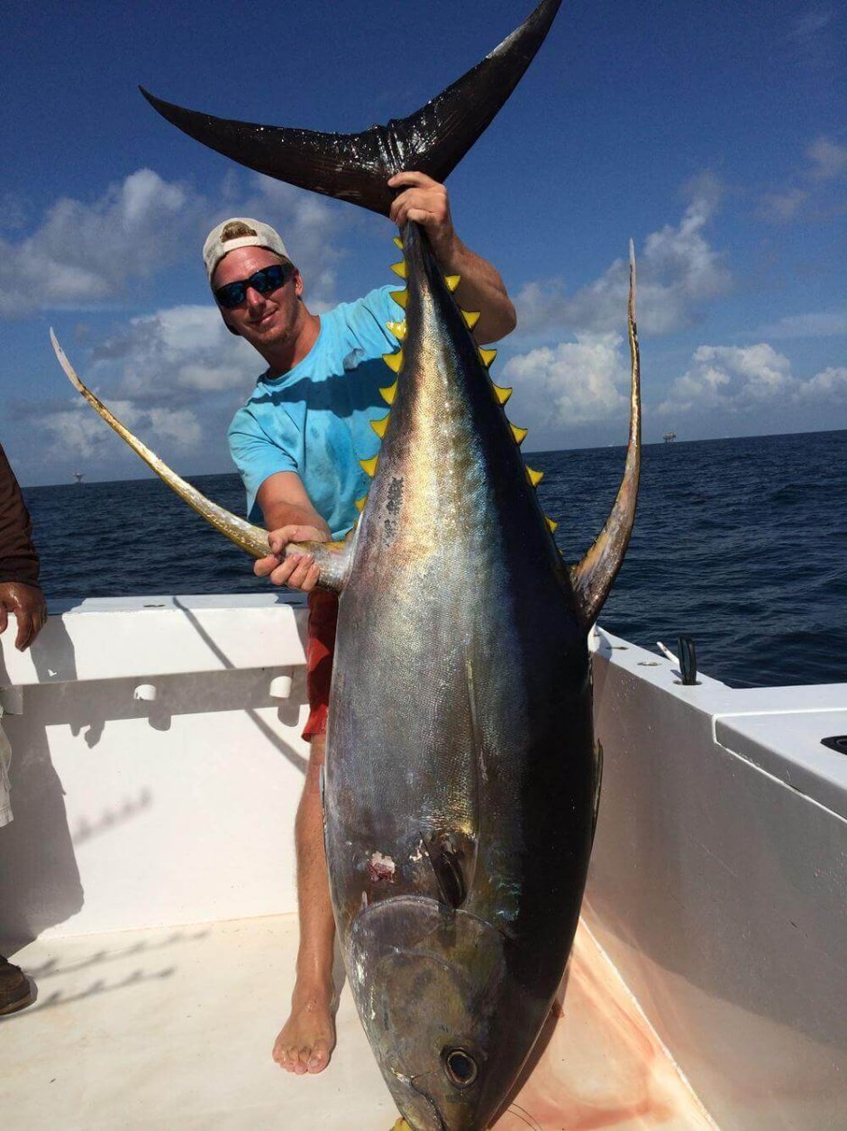 Тунец скумбриевидный