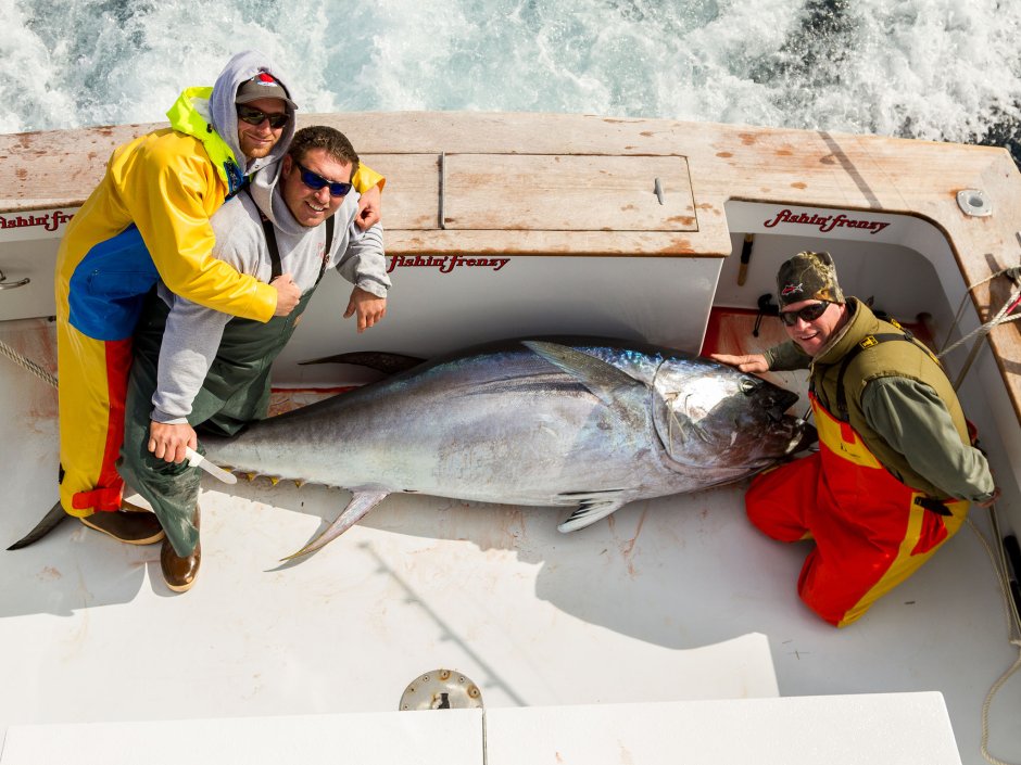 Дикий тунец National Geographic