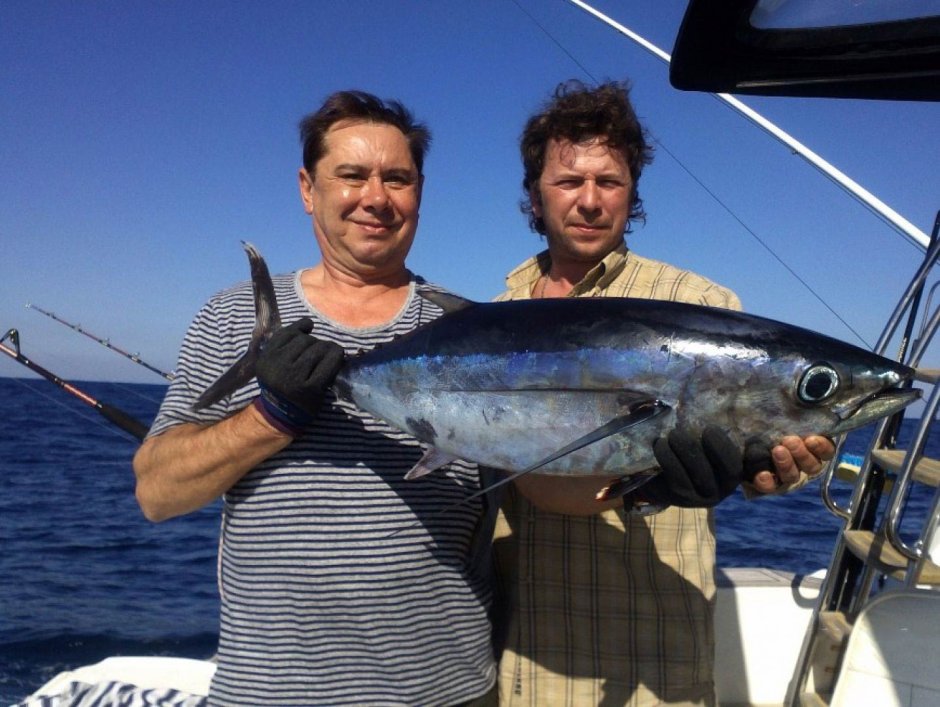 Тунец Альбакор