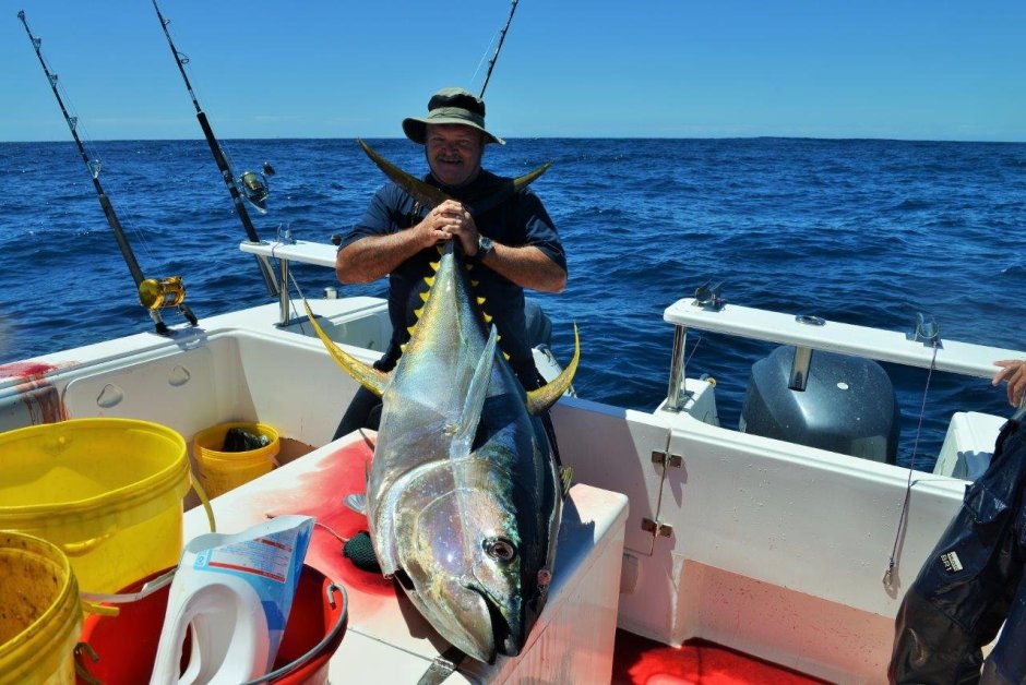 Рыбалка на тунца