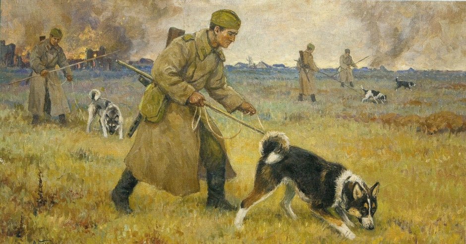 Кинологические бронежилеты Норд