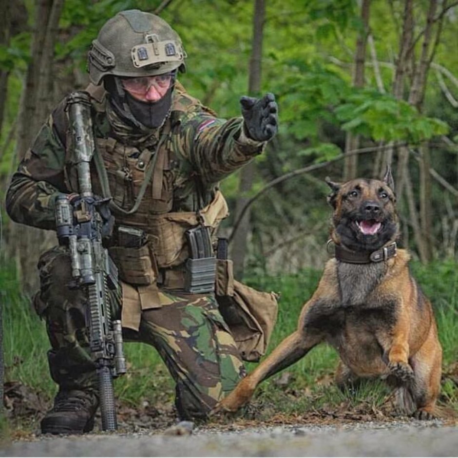 Малинуа Navy Seals