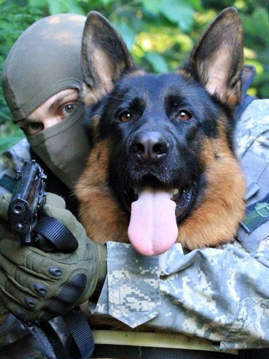 Русские сапёры с собаками в Сирии