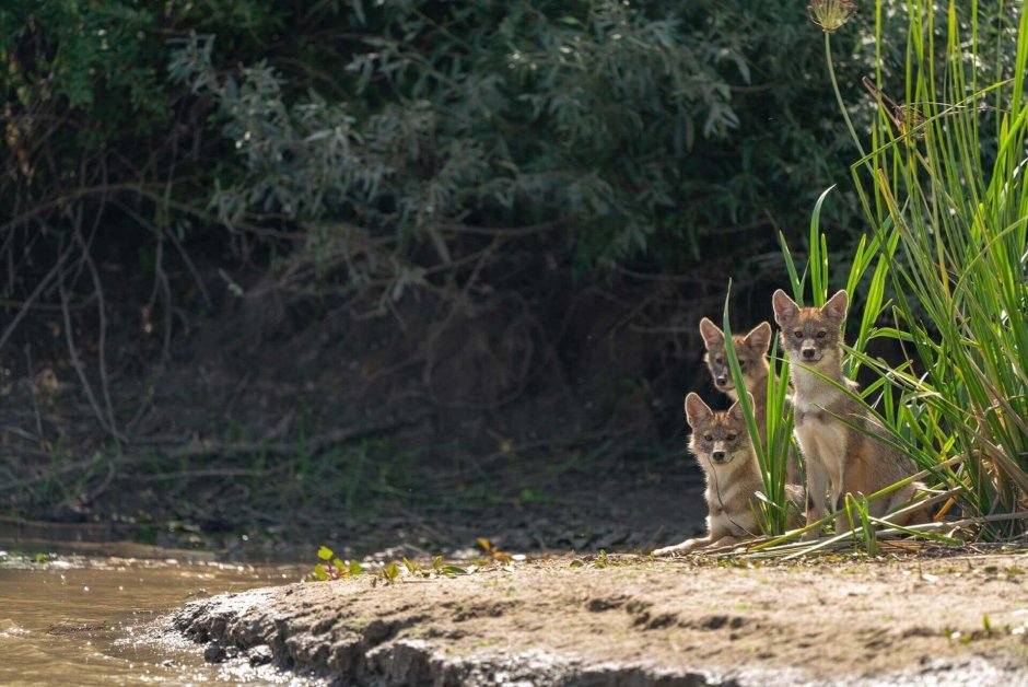 Государственный природный биосферный заповедник «Ростовский»