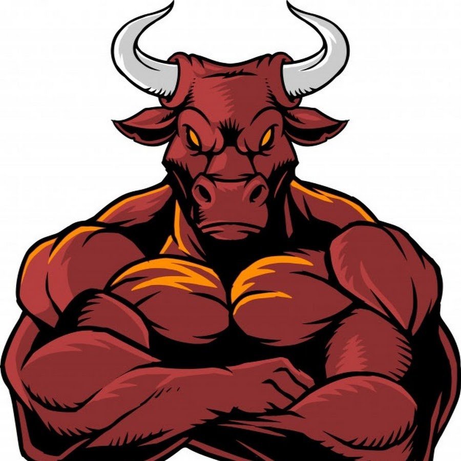 Мускулистый бык