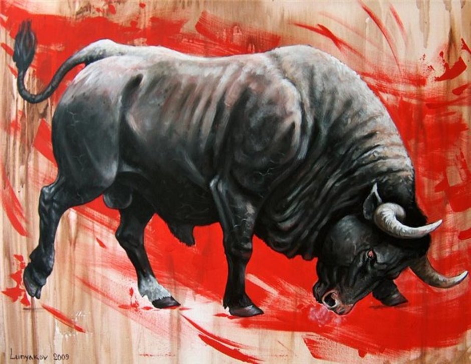 Бык осеменитель