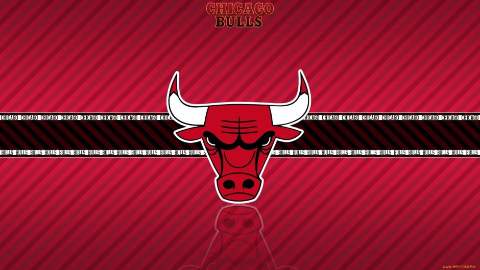 Чикаго Буллз 3 номер