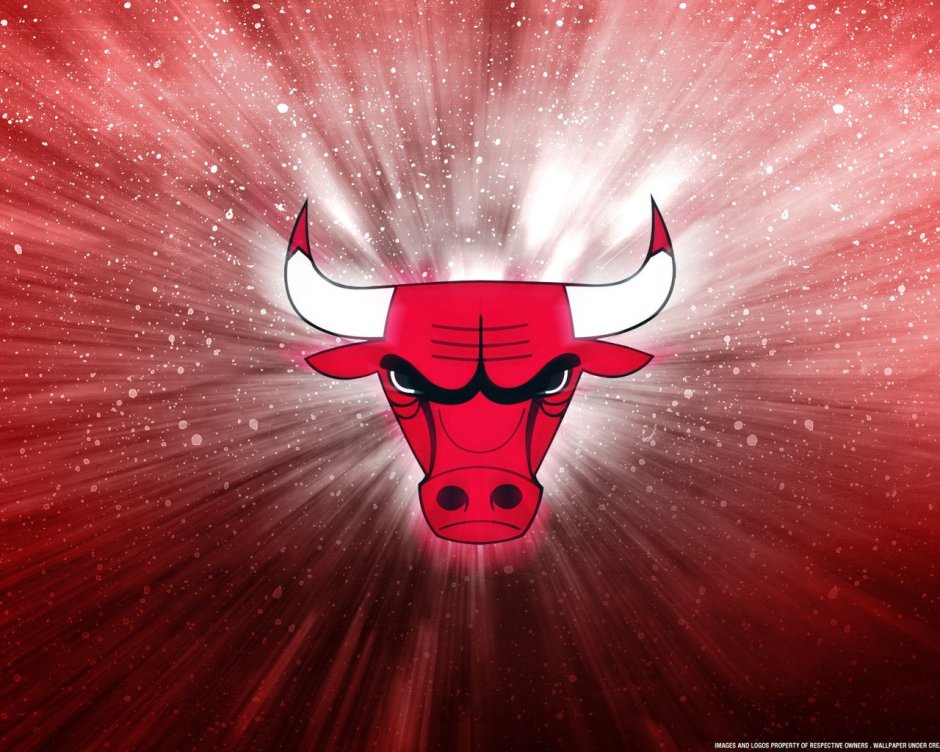 Красный бык Чикаго Буллз