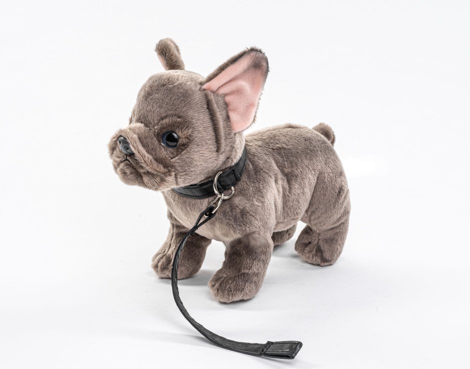 Французский бульдог Мерлен