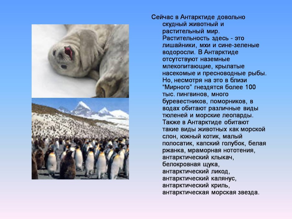 Антарктида презентация