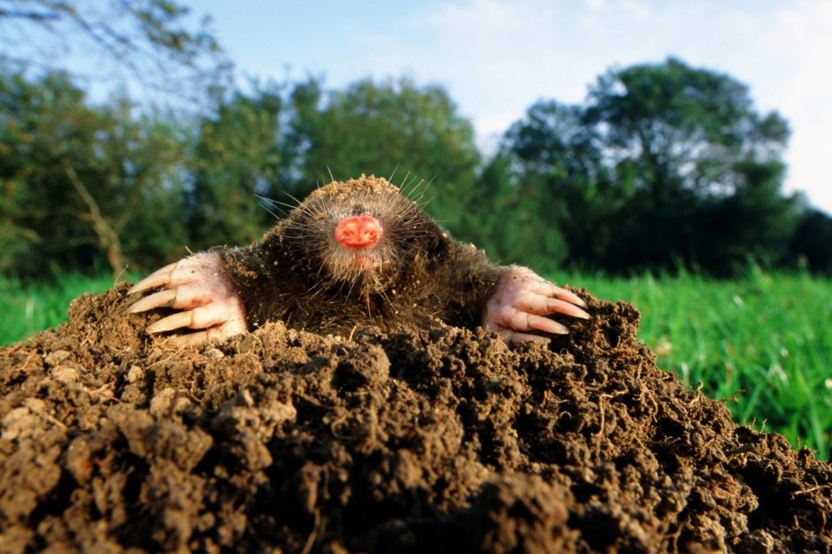 Черная дыра Интерстеллар 4k