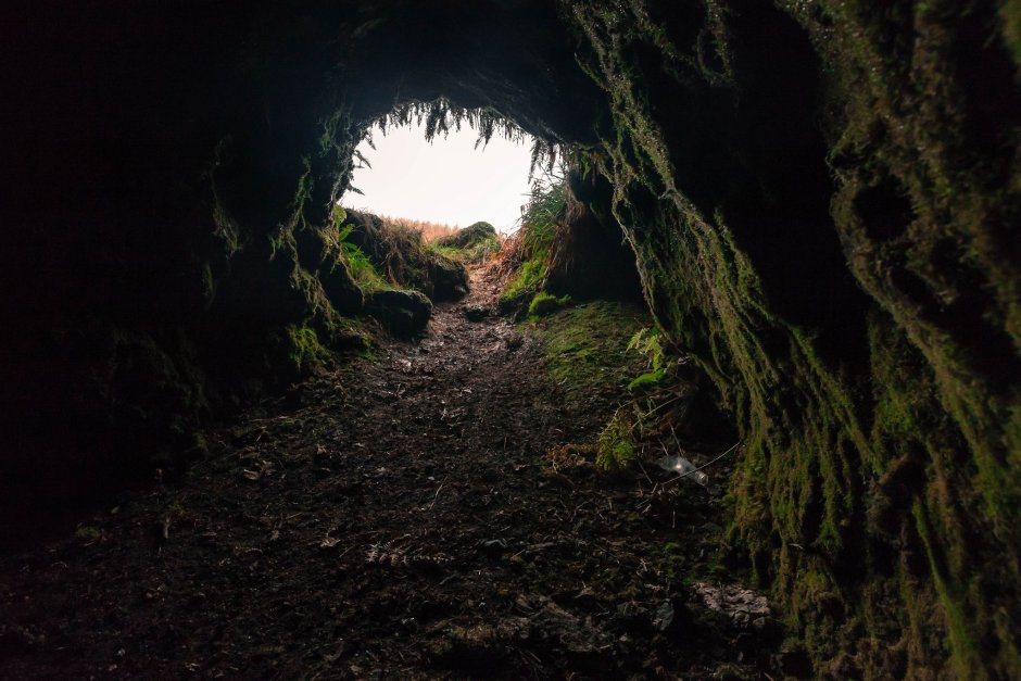 Логово иллюстрация