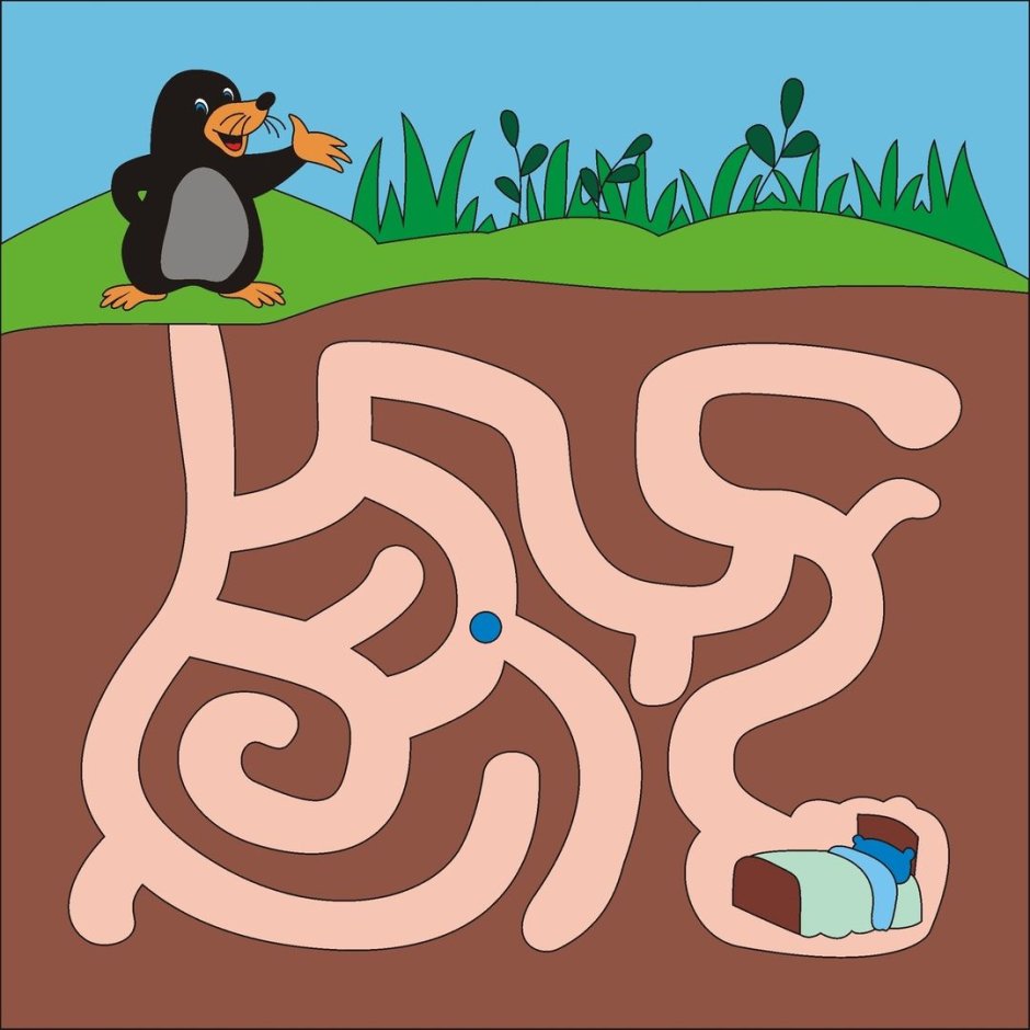 Сумчатый Крот фото