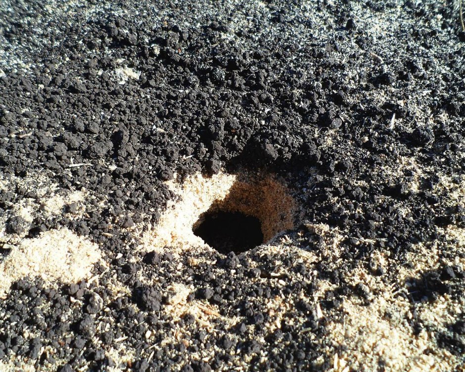 Кротовые Норы червоточины