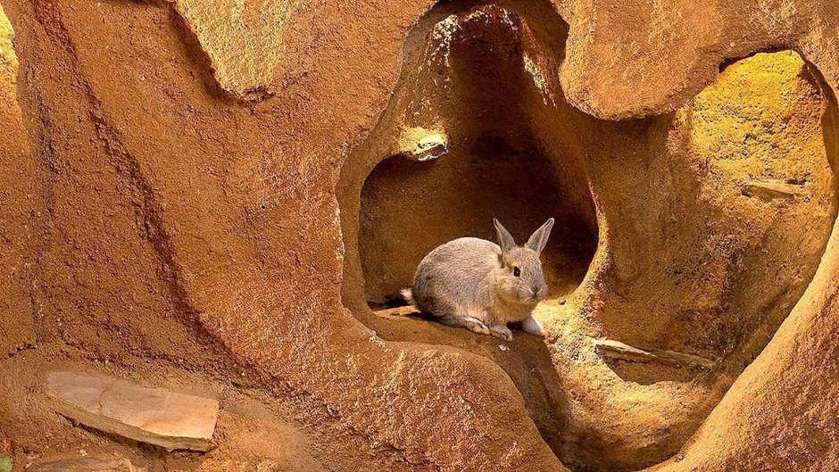 Червоточина Шварцшильда