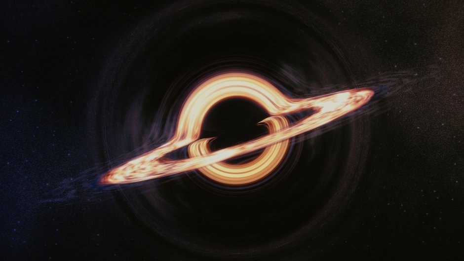 Слепыш Норы в земле