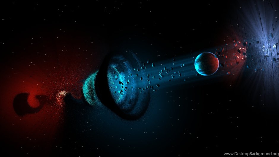 Землеройка Земляная крыса