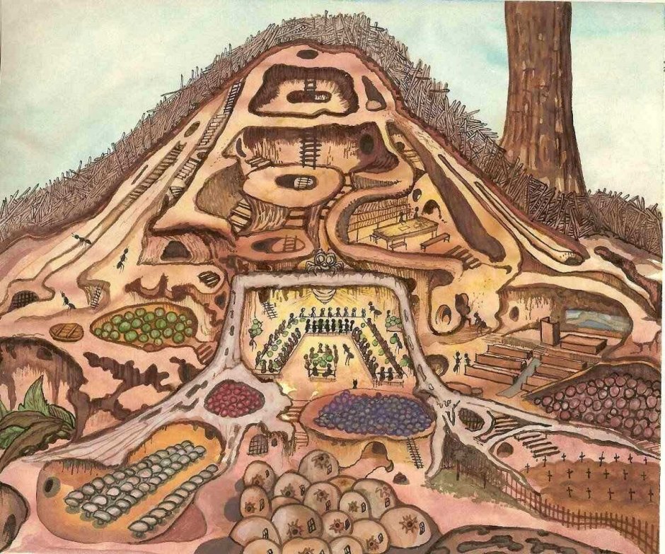 Лабиринт Крот