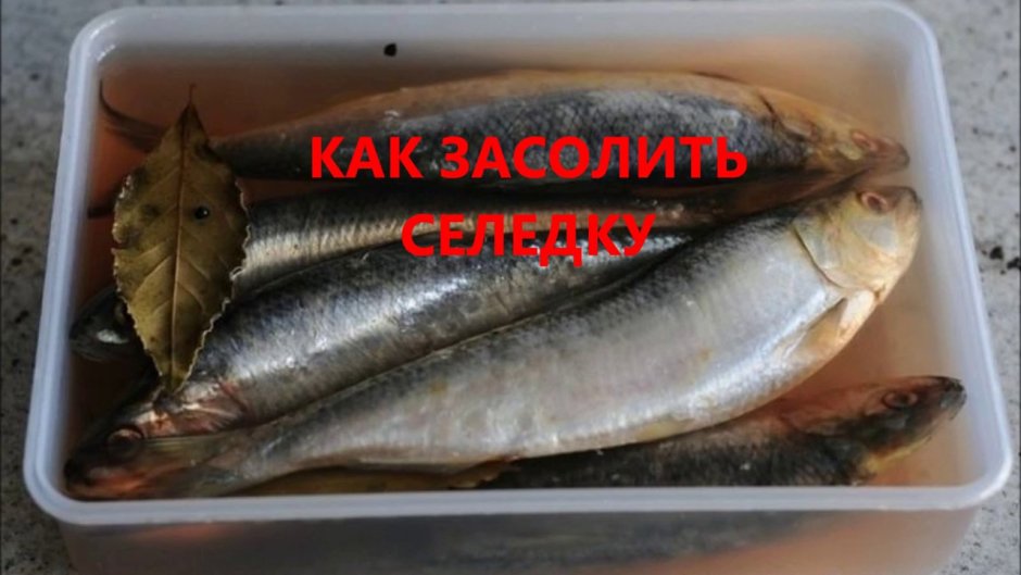 Килька пряного посола