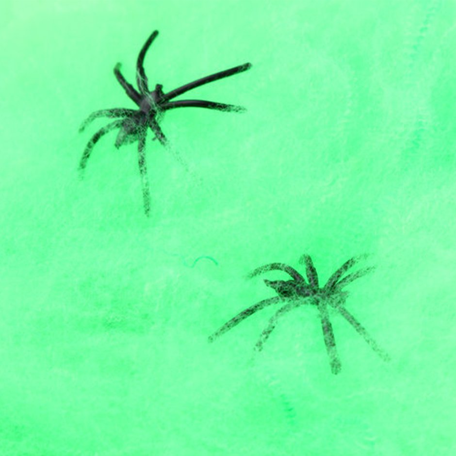 Паук-Серебрянка (водяной паук)