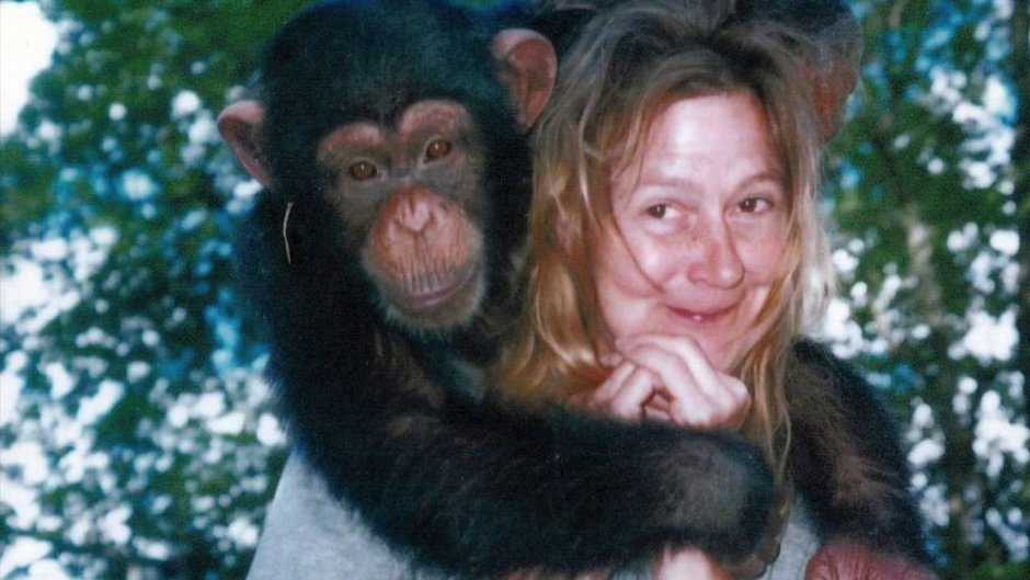 Орангутанг смеется