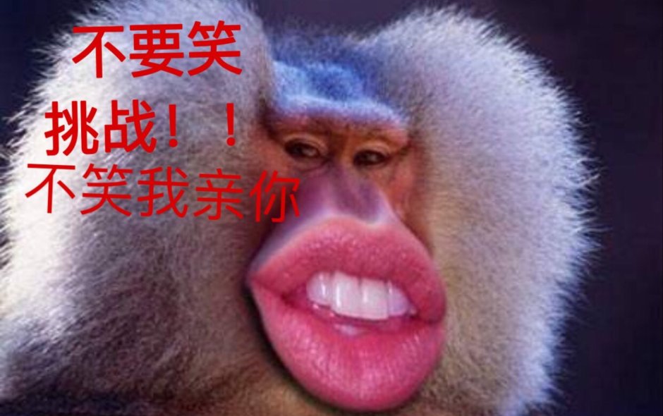 Носач живущий на Борнео