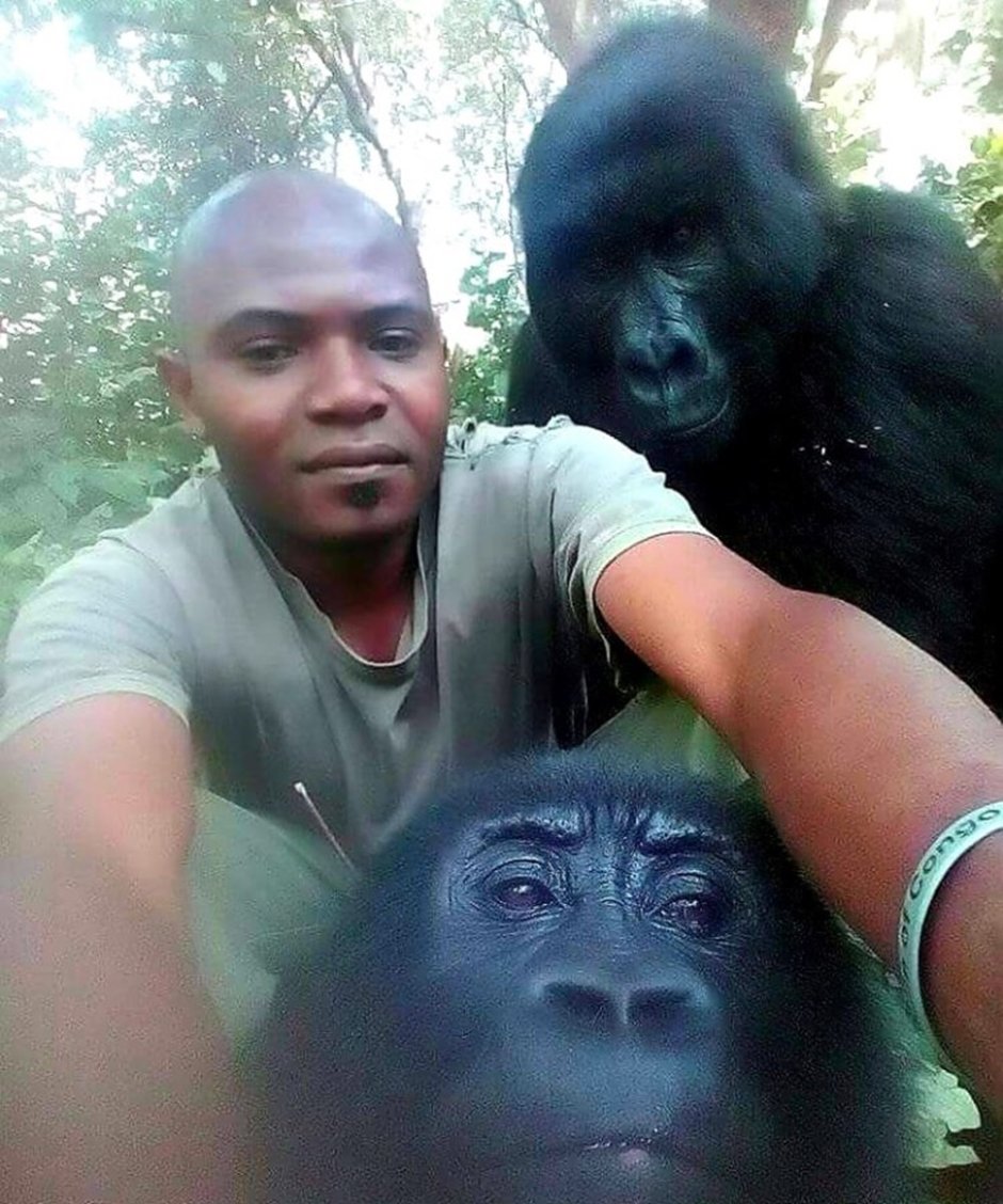 Накрашенная обезьяна