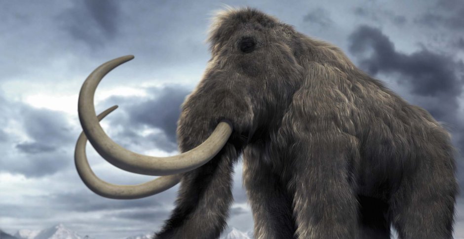 Woolly Mammoth фильм