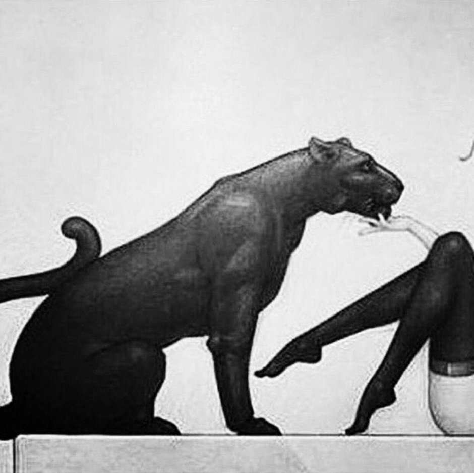 Эротичная пантера Графика