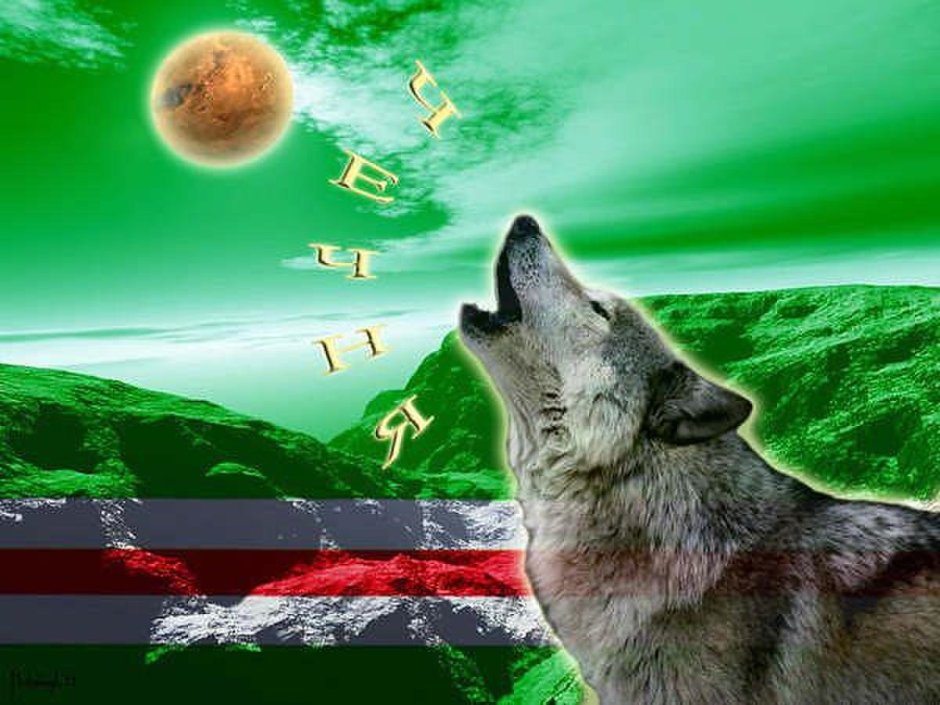 Бозкурт Ичкерия
