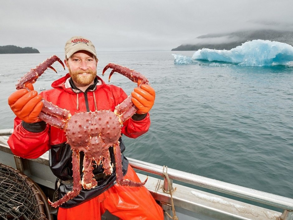 Камчатский краб Охотское море