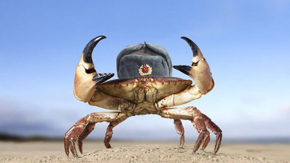 Самый агрессивный Крабик