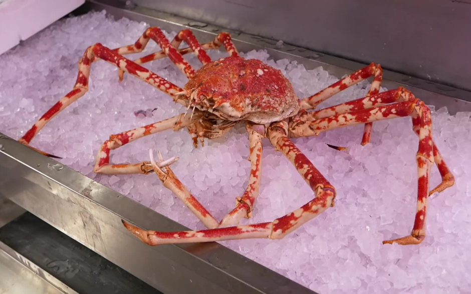 Японский Королевский краб