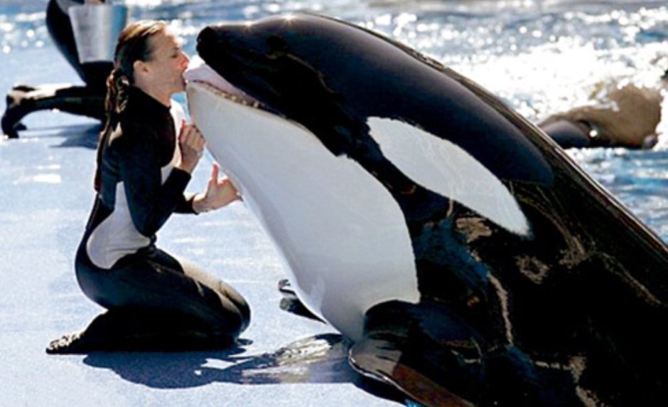 Тиликум Касатка убийца