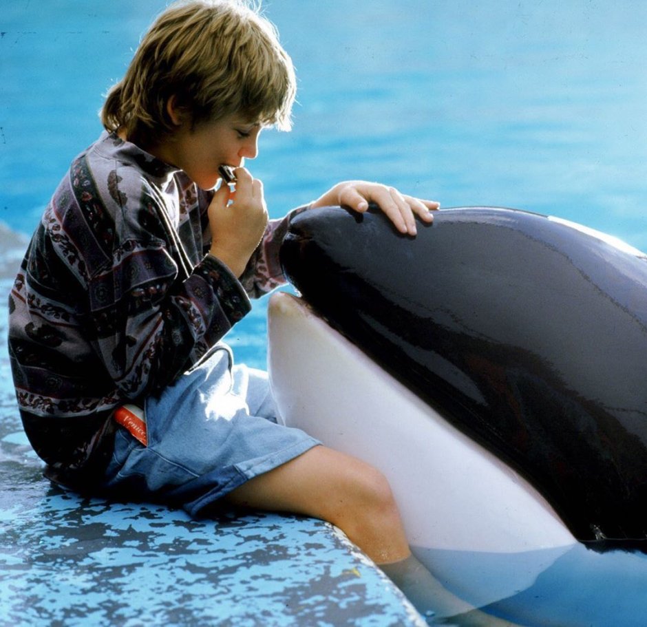 Освободите Вилли фильм 1993