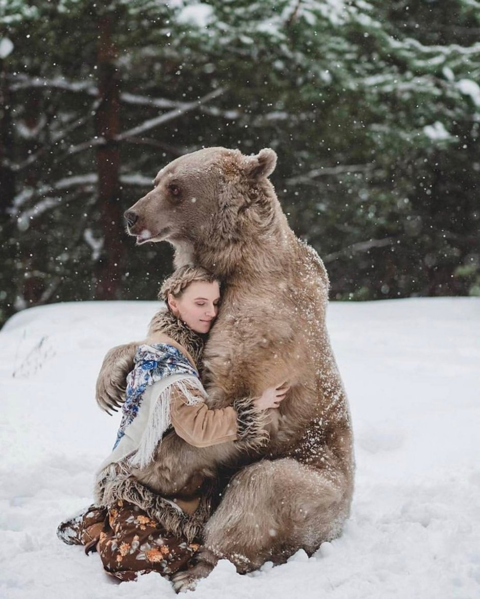 Медведь Гризли
