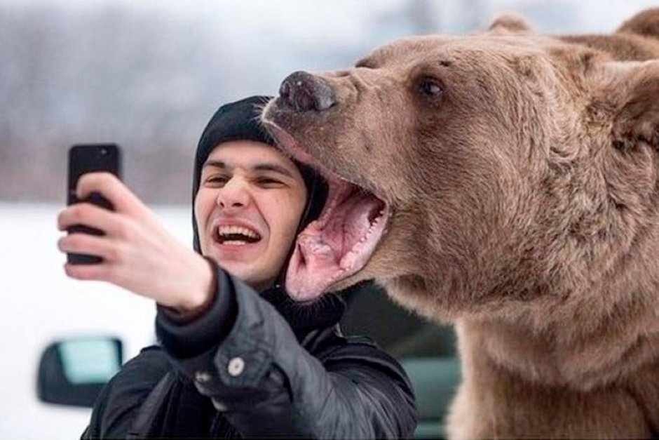 Фотосессия с медведем Степаном