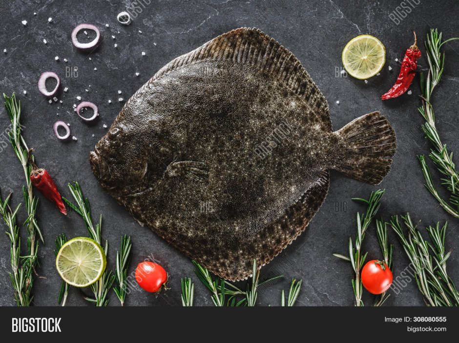 Raw Flounder