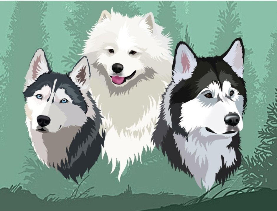 Хаски певицу