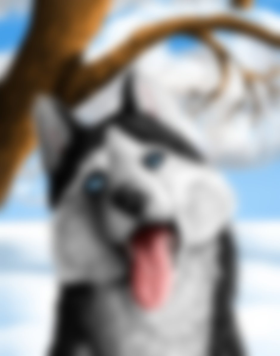 Группа хаски певица Анна