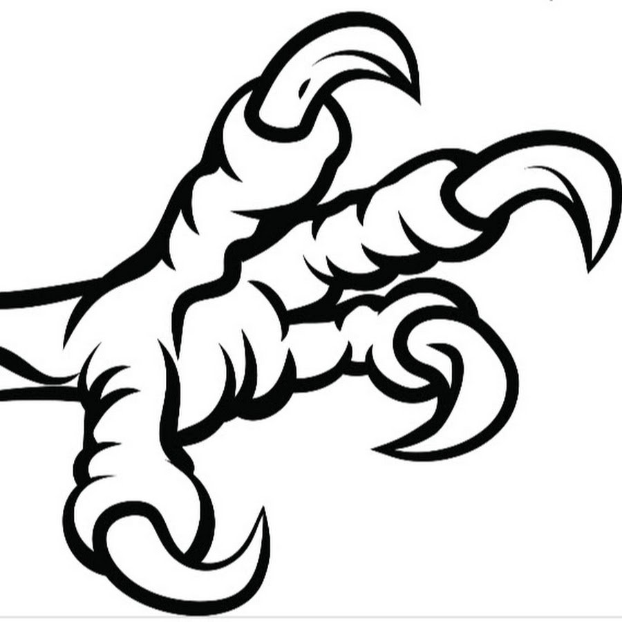 Когти медведя на белом фоне