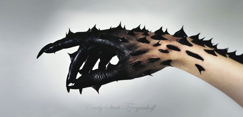 Рука и лапа собаки