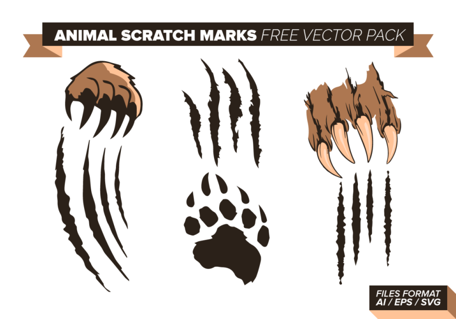 Лапа с когтями вектор