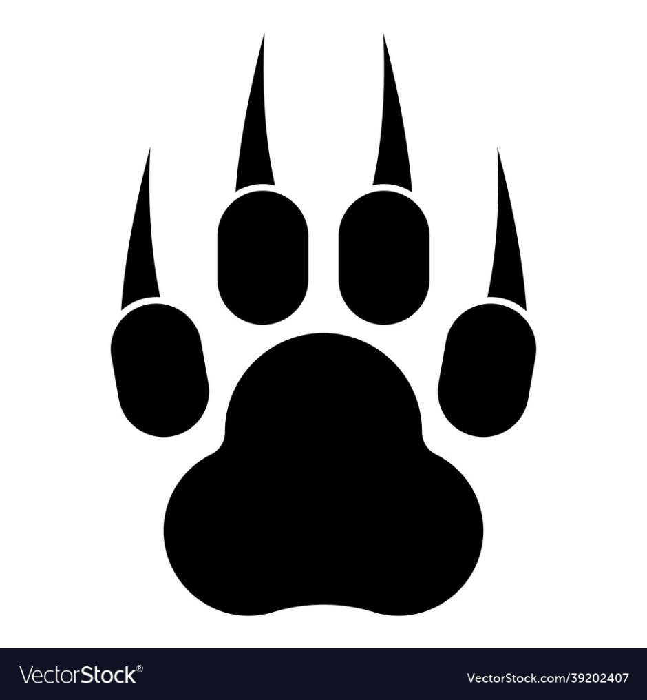 Кошачьи лапки мультяшные