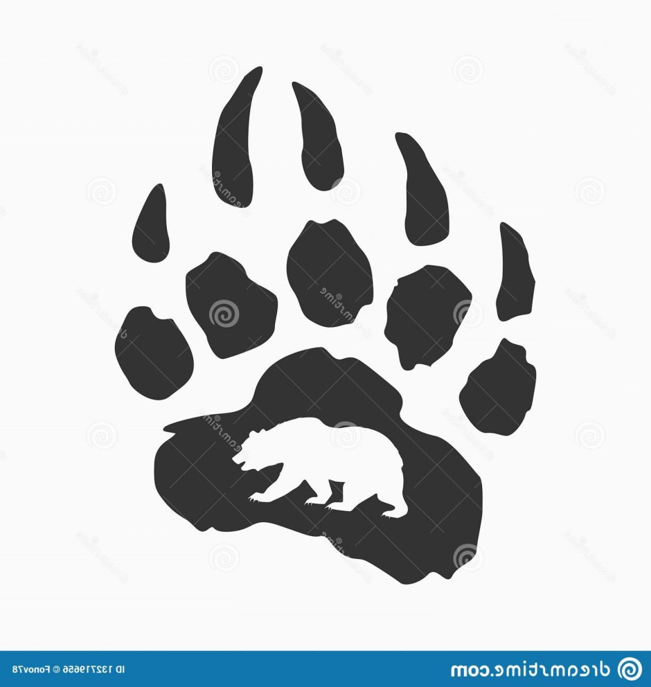 След от когтей медведя